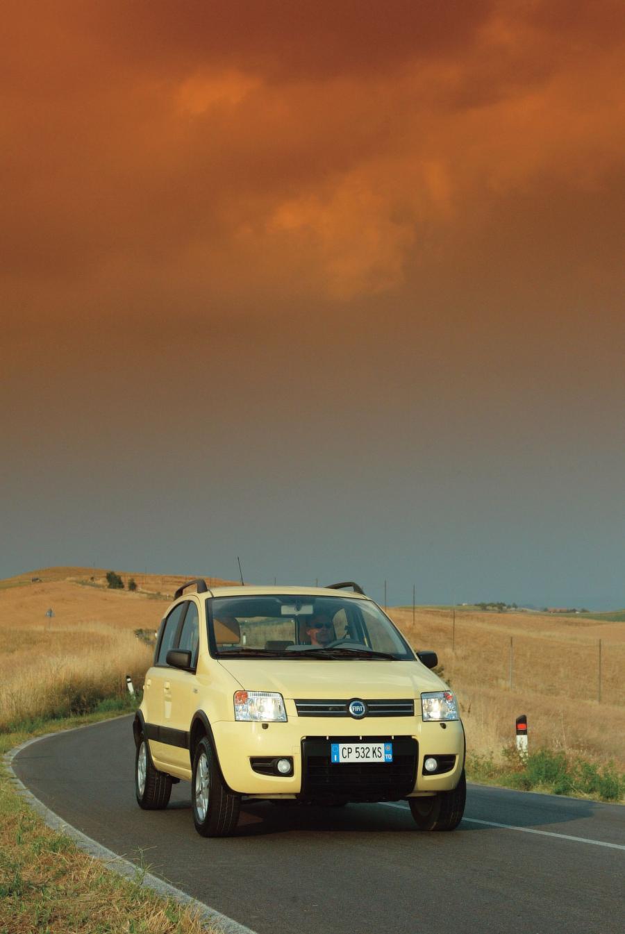  Fiat Panda 4x4 2005 года  (фото 42 из 76)